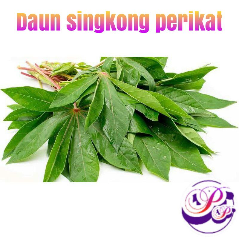 

Daun Singkong Perikat