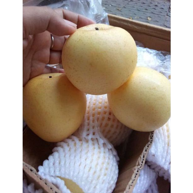 

pear century