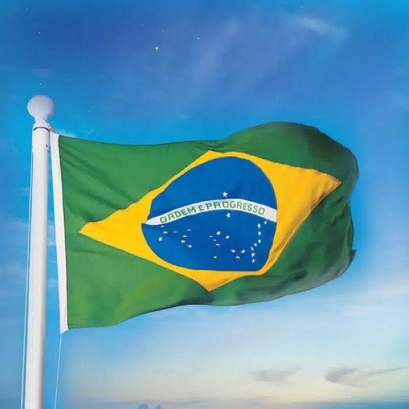 8 Fakta Keren Tentang Bendera Brasil 2021