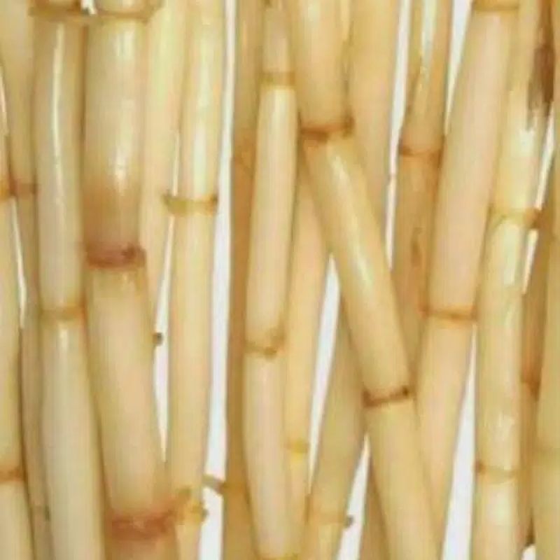 

Jual Akar Alang Alang Fres 1Kg