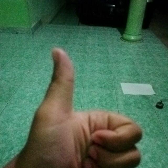 Bunga Matahari Besar Ornamen Tralis Besi Tempa