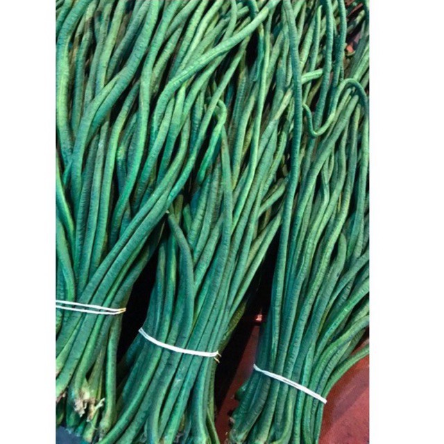 

kacang panjang hijau segar