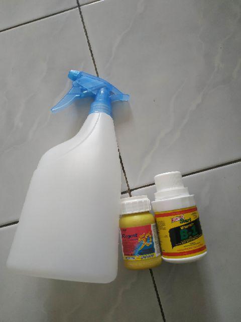 Regent® 50 Sc Red 50ml Insektisida Perlakuan Benih