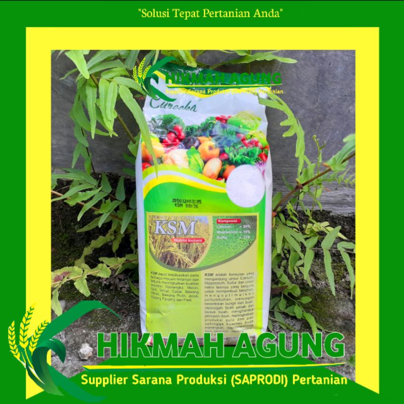 

KSM NUTRISI INSTANT 1 KG PUPUK NUTRISI KALSIUM MAGNESIUM SULFUR