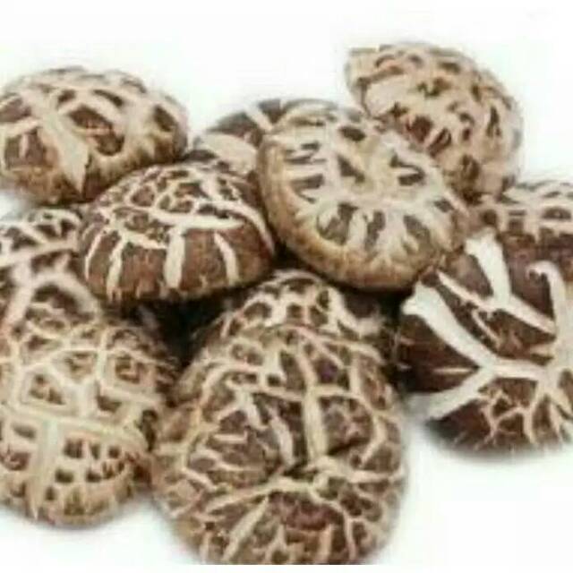 

Jamur sintake ( siongku )