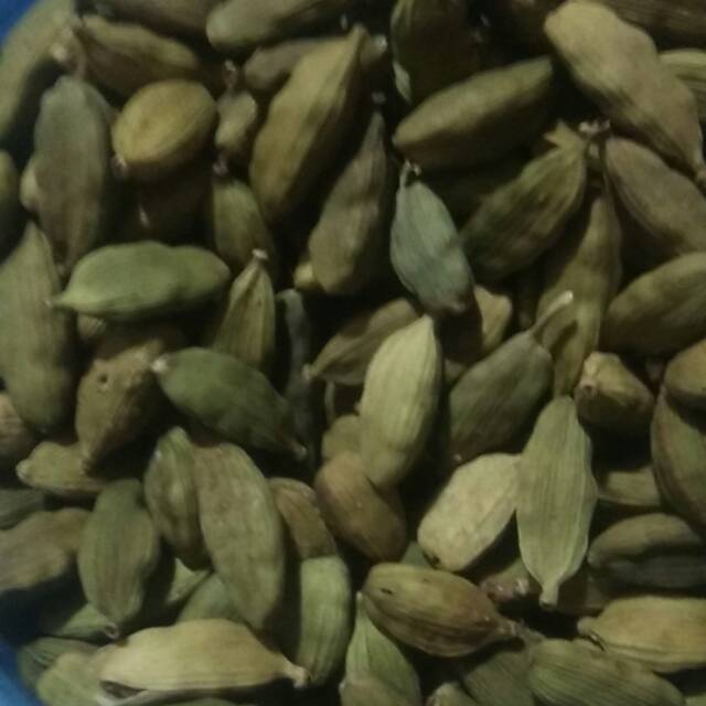 

Kapulaga hijau/ kapol india kapol arab