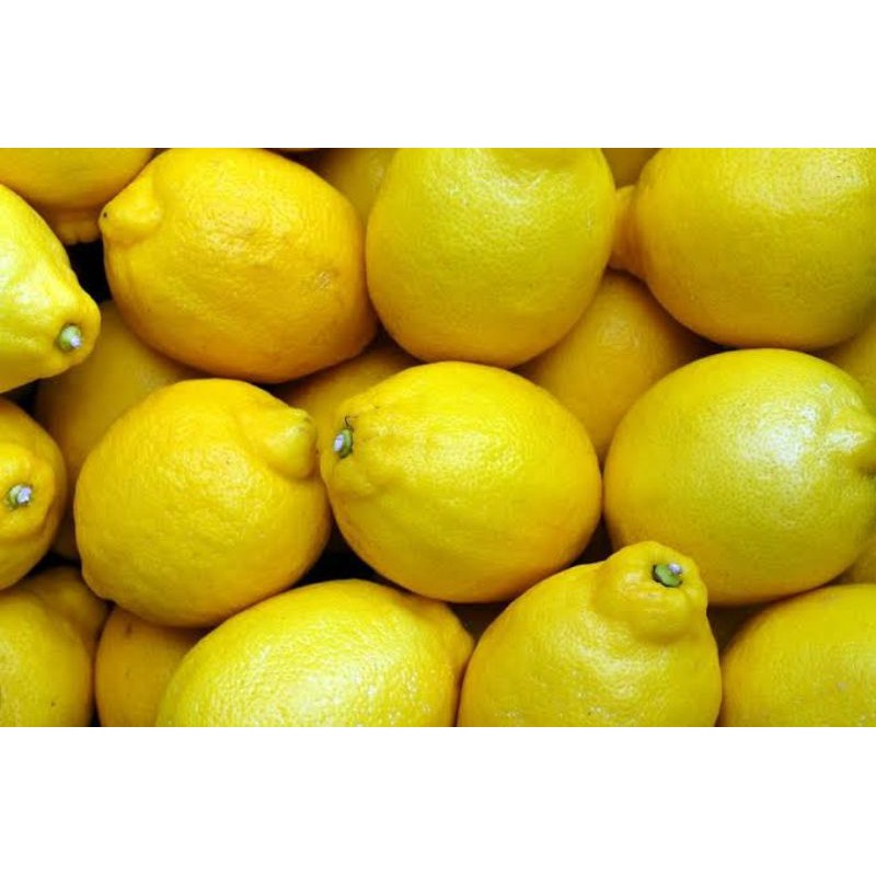 

Buah jeruk lemon import Fresh - 500 Gram