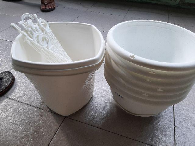 Pot Bunga Tanaman Twistter Putih 20cm