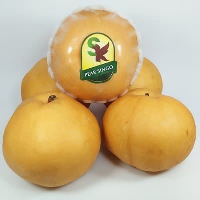 

Pear Singo Besar /kg Kwalitas Super