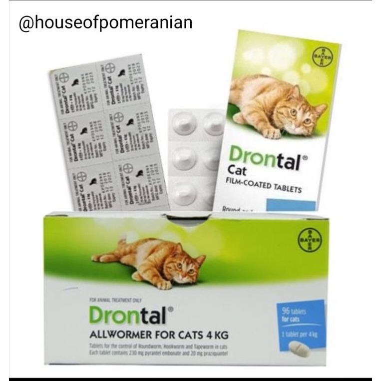 DRONTAL CAT obat cacing kucing tablet / harga per 1tablet