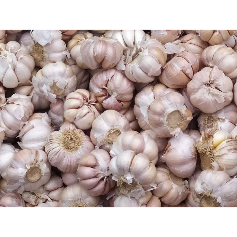 

Bawang putih (500gram)
