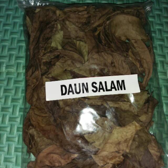 

DAUN salam