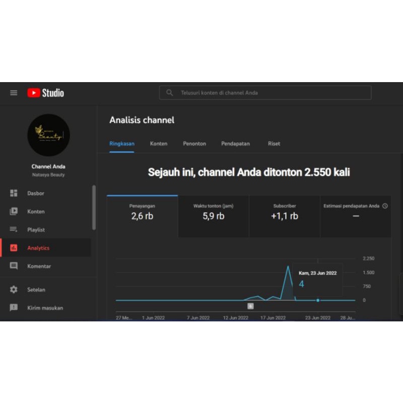 CHANNEL YOUTUBE SUDAH MONETISASI