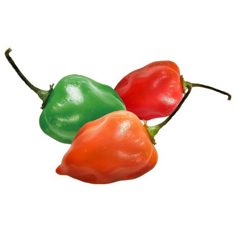 

Bandung Sayur Segar - Cabe Gendot 250 g