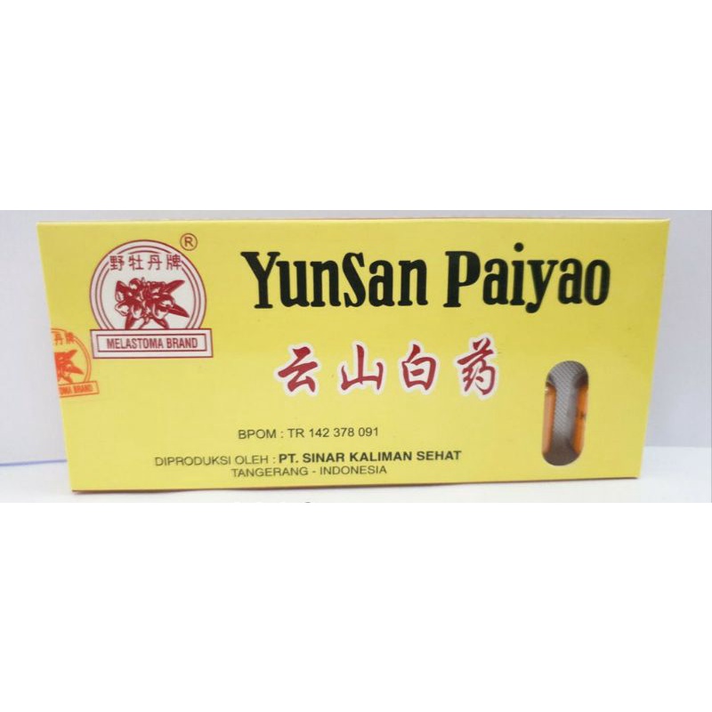 YUNAN YUNSAN PAIYAO OBAT LUKA DALAM LUAR MEMAR BENGKAK PENDARAHAN ORIGINAL