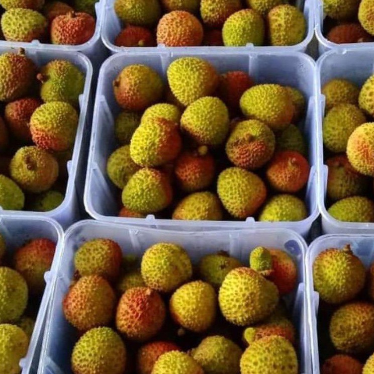 

BUAH LECI MADU MANIS 500 GRAM FRESH
