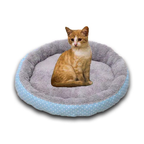 Tempat Tidur Kucing Besar jumbo/Kasur Kucing Murah/Tempat kucing/Bantal Kucing/Cat Bed/Ranjang Kucing/Keranjang Kucing/Rumah Kucing/Alas Tidur Kucing Bulu