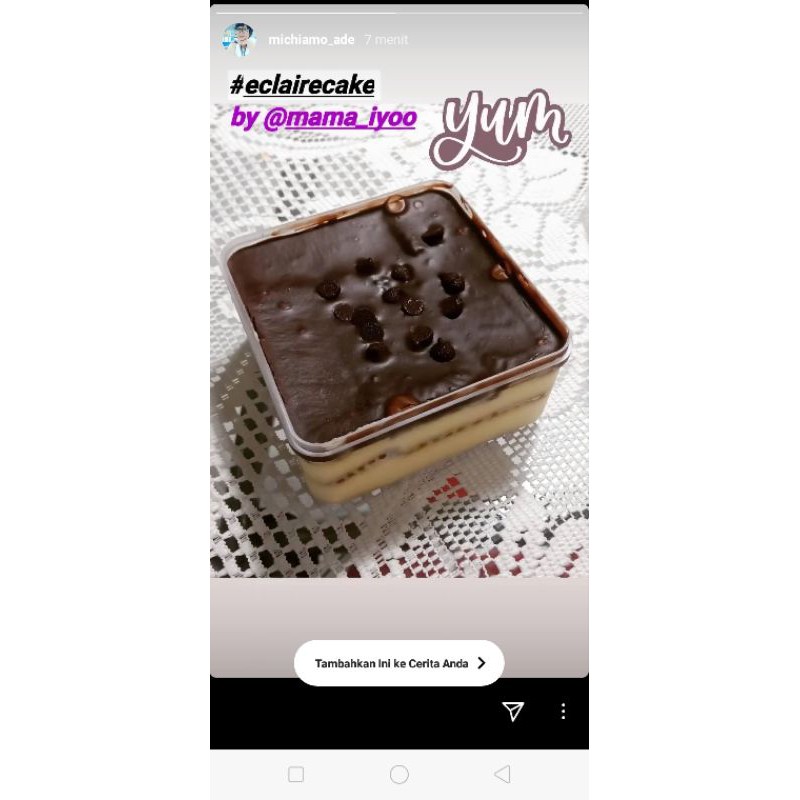 

Eclair Cake in the box