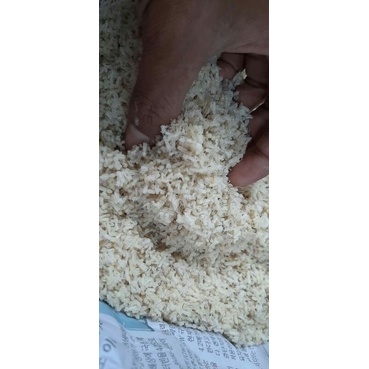 kroto segar pakan segala jenis burung / Umpan Pancing