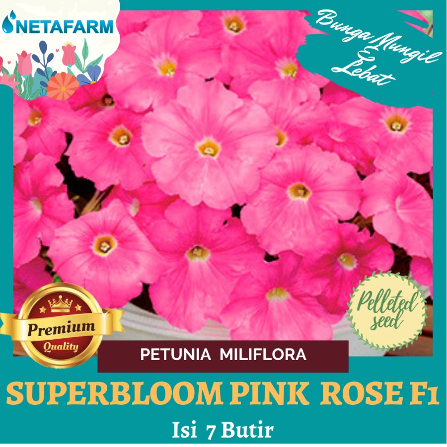 Benih Bibit Bunga Petunia Miliflora Superbloom Pink Rose F1 - 7 Butir