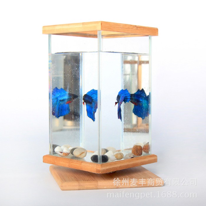 Desktop Aquarium Kaca Ikan Cupang Mini / Akuarium Mini Import 5