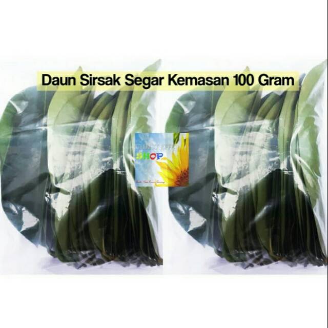 

DAUN SIRSAK SEGAR LANGSUNG PETIK KEMASAN 100 Gram