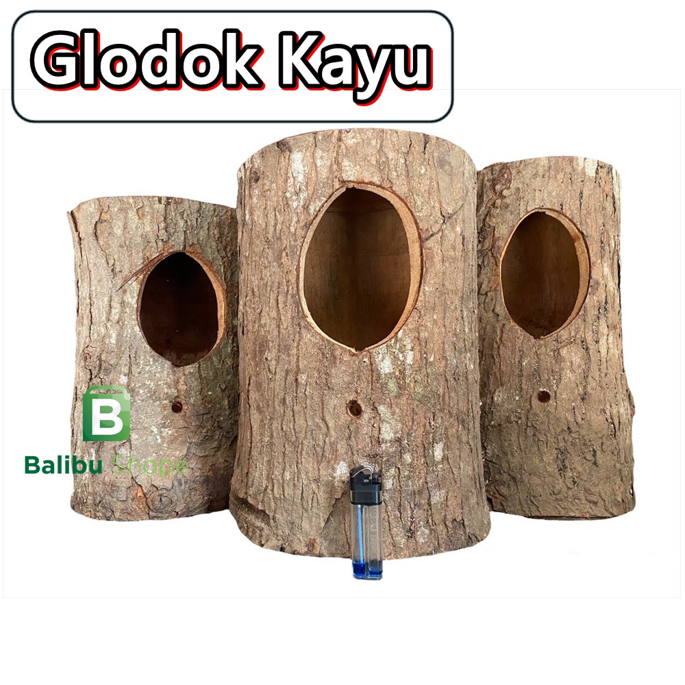 Glodok Batang Kayu Sarang Burung Murai Jalak Kacer Lovebird