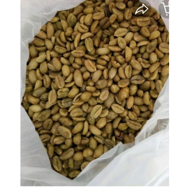 

kopi nangka