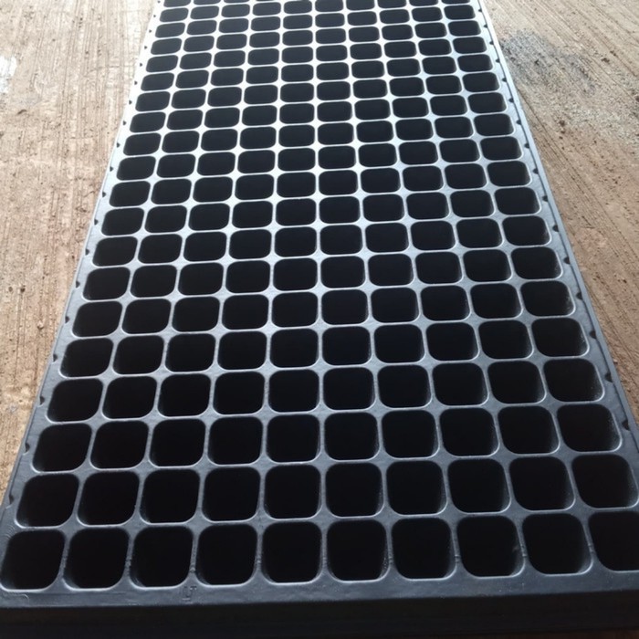 Pot Try semai Benih 200 Limited