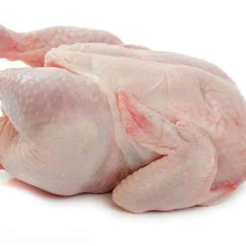 

Ayam Potong