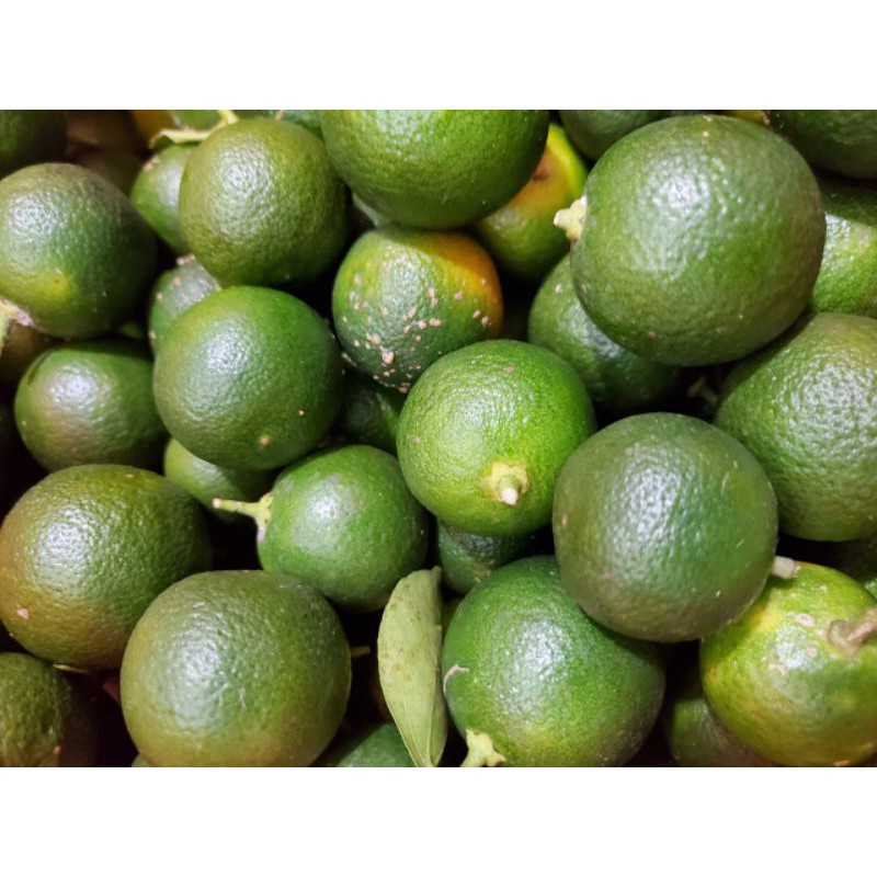 

500 GRAM JERUK SONKIT / JERUK KUNCI / LEMON CUI / SONKIT PONTIANAK / KASTURI / SONGKIT