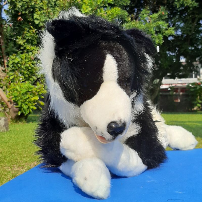 Boneka anjing border collie