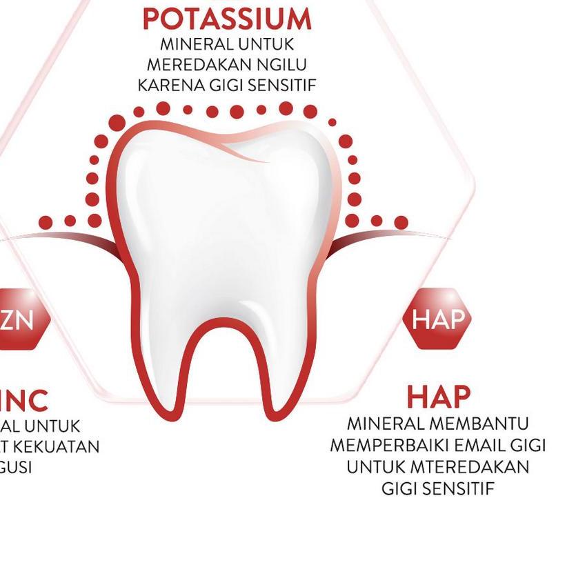 ♠ Pepsodent Sensitive Expert Pasta Gigi Gum Care 100G - Odol Sensitive ➯
