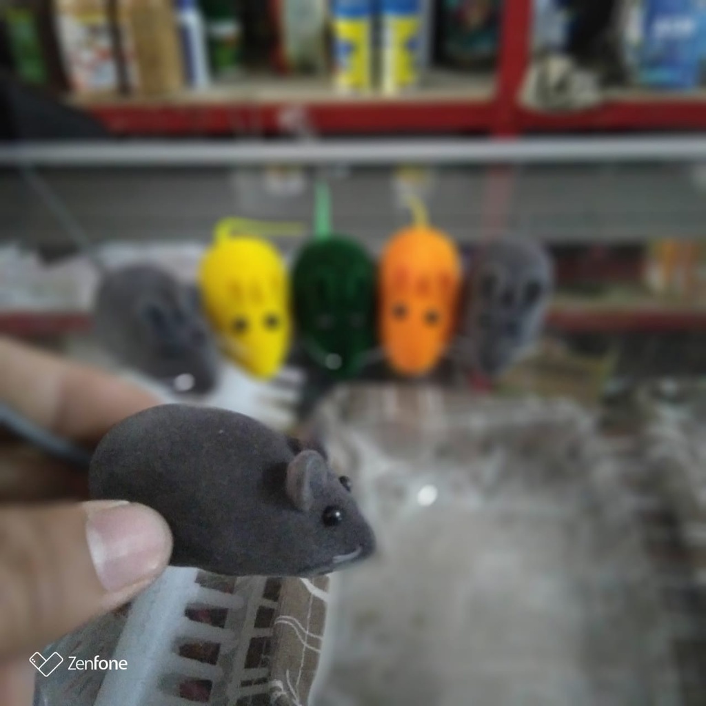 Tikus Warna Warni Berbunyi Lucu Mainan Kucing Cat Anak Kitten Toy Toys