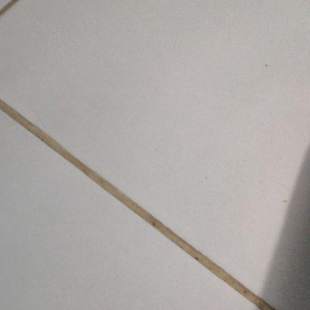 Tang Buaya Chrome 10inchi Camel