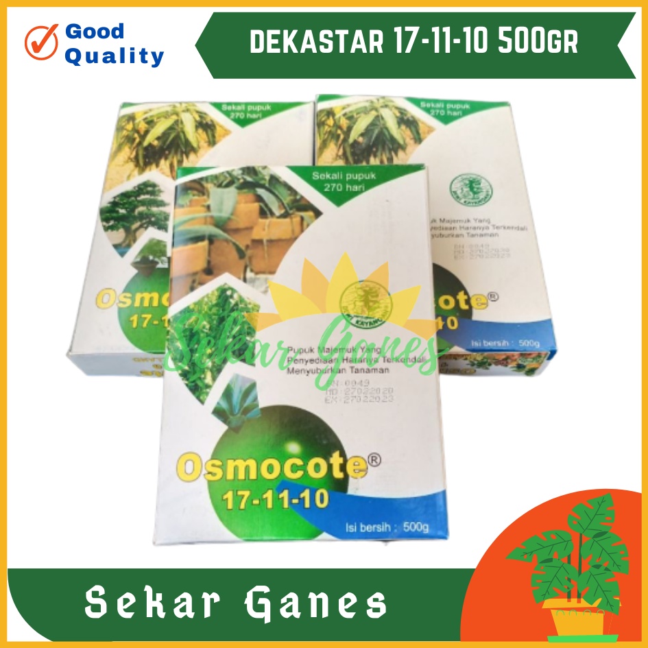 Sekarganes Ori Pupuk Osmocote Dekastar Plus 500 Gram Kemasan Pabrik Dekastar 13 13 13 6 13 25 17 11 10 500 Gram Dekastar Merah Dekastar Daun Seimbang Bunga Buah