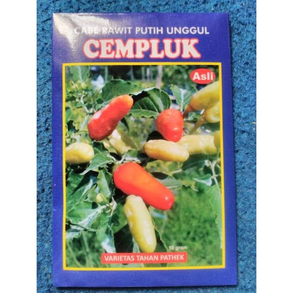 cabe rawit cempluk