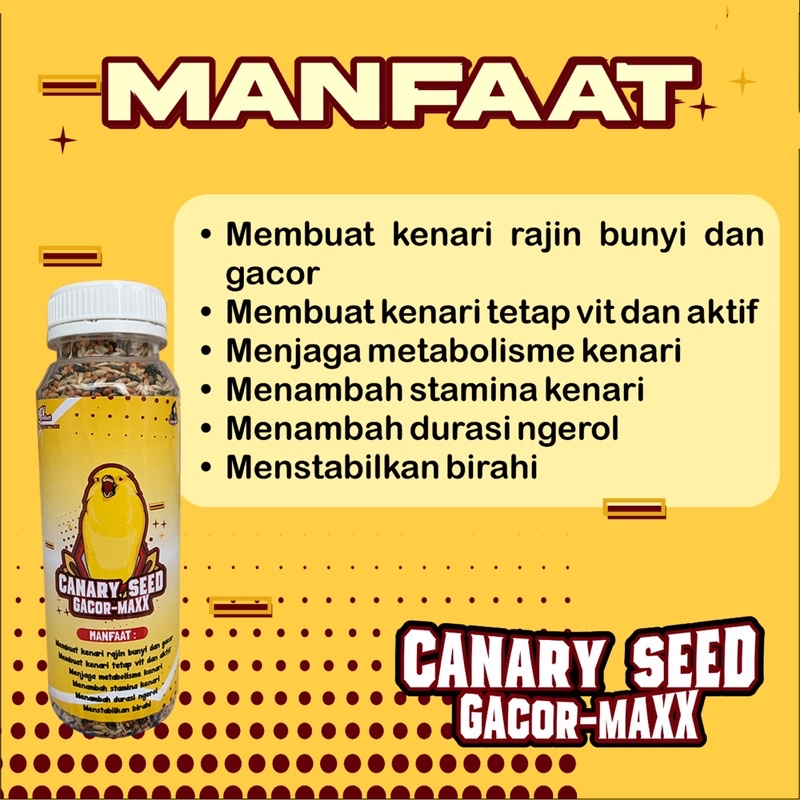 pakan kenari canary seed gacormaxx | pakan cepat gacor