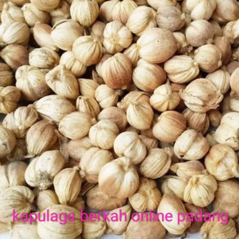 

kapulaga 1 kg