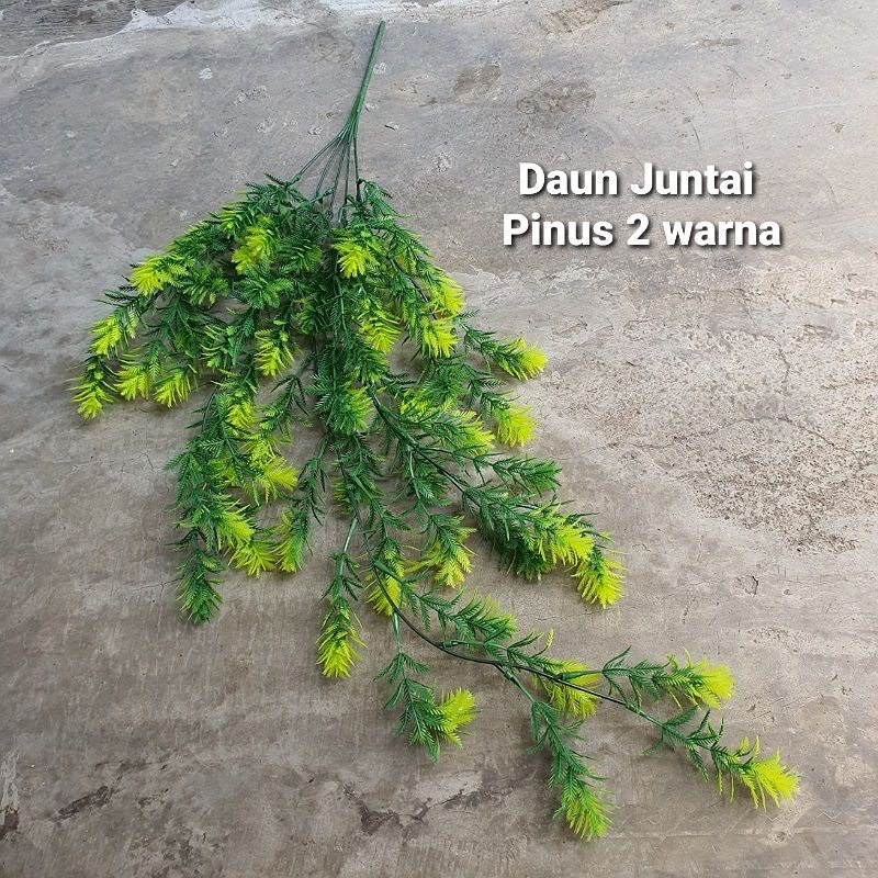 Daun Juntai hias / daun gantung merambat ( tanpa pot )