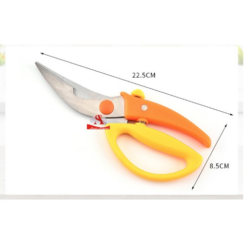 

GUNTING TANAMAN/PLANT SCISSORS