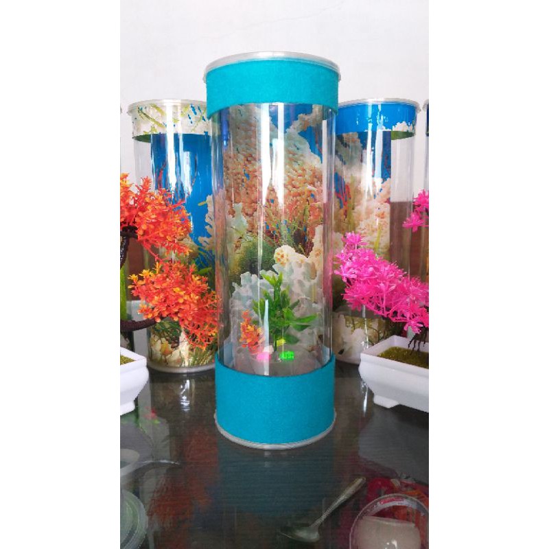 aquarium mini