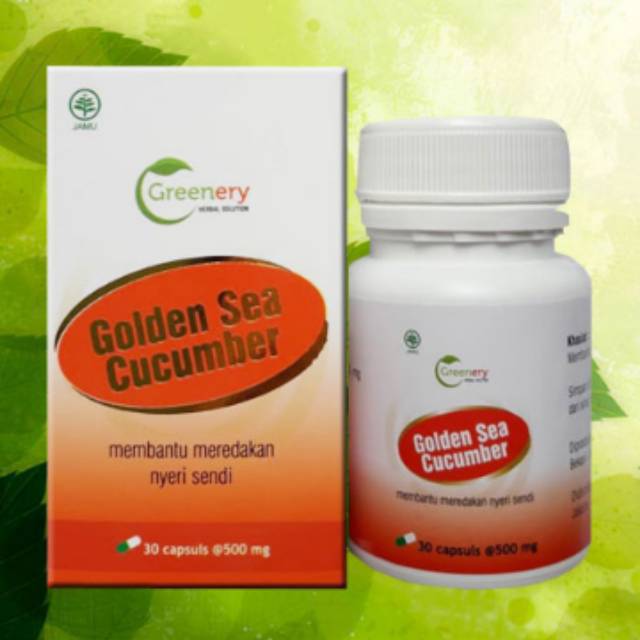 GAMAT SUPER GAMAT EMAS GOLDEN SEA CUCUMBAR GREENERY HERBAL