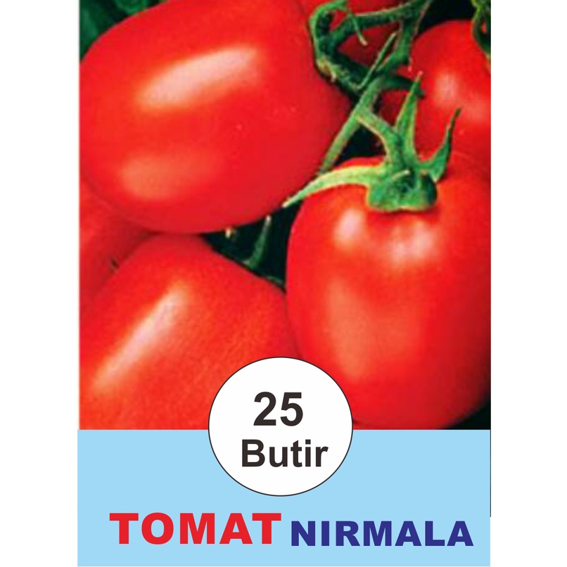 Benih Biji Bibit Buah Tomat Buah / Tomat NIRMALA