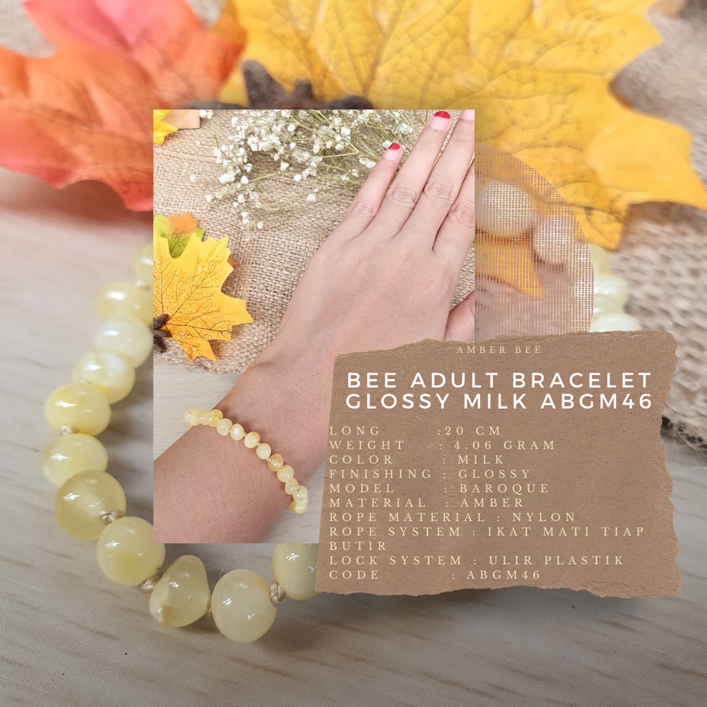 Gelang Amber Baltic Dewasa Premium Glossy Rainbow Stretchy BGR106 By Amber Bee