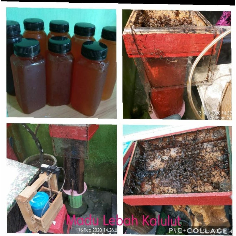 

MADU KELULUT250ml