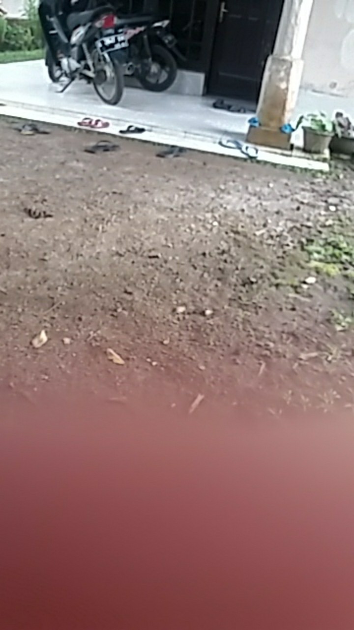 Pisau Daging Besi Baja Stainless Tajam Berkualitas 28 Cm