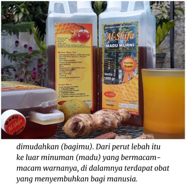 

Madu murni 1kg alshifa