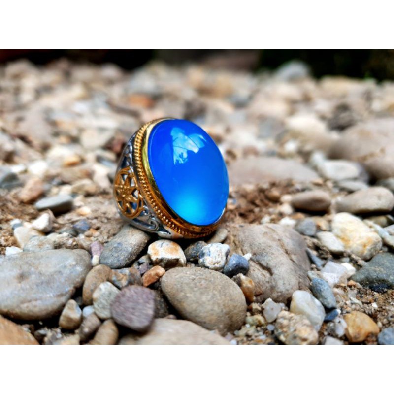 

BIDURI LAUT GRATIS ONGKIR