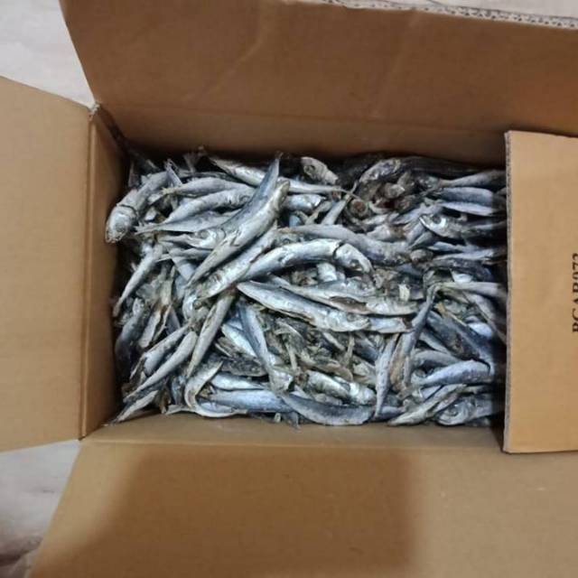 

Ikan asin layang